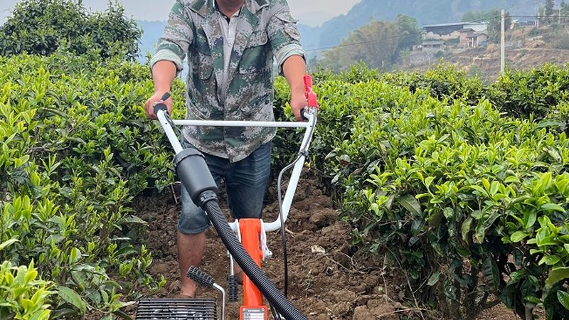 揭秘小型饲料机械性价比高的秘密